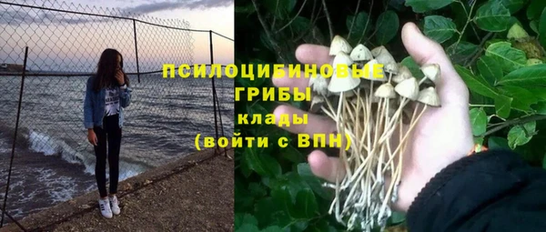 трава Баксан