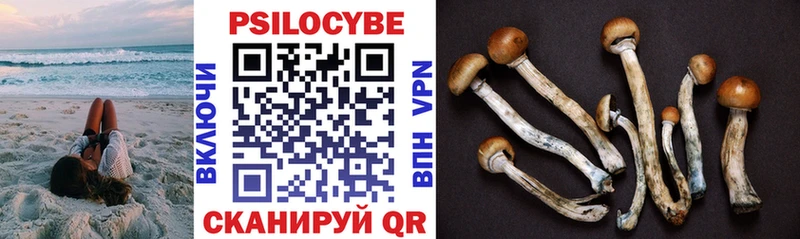 Псилоцибиновые грибы прущие грибы  Купить закладки  Дальнереченск 