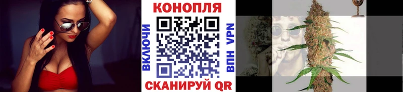Шишки марихуана планчик  Купить где  Дальнереченск 